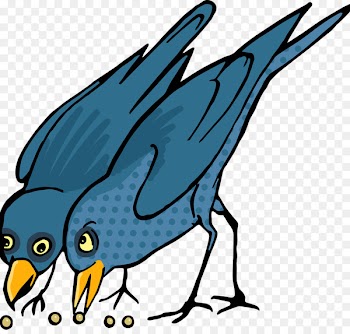 Clip art stock.xchng Image Vector graphics Portable Network Graphics - bluejay cartoon 