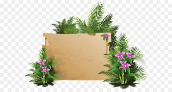 Clip art - Summer Exotic Board PNG Clipart 