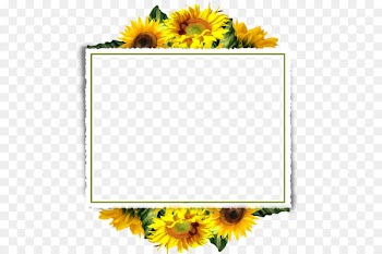 Clip art - Sunflower Border 
