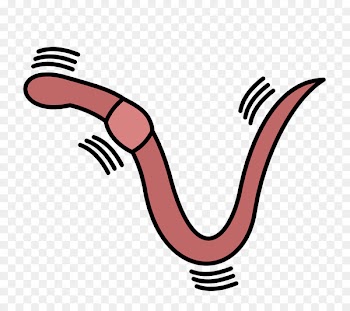 Clip art Symbol Image Graphics Verb - wriggle frame 