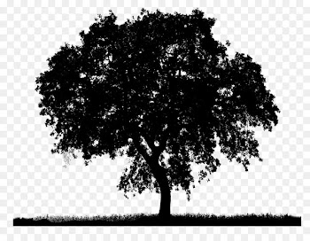 Clip art Transparency Portable Network Graphics Image Tree -  