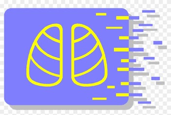 Clip Art Transparent Download Medical Chest X Ray Shows - Clip Art Transparent Download Medical Chest X Ray Shows