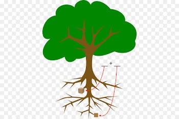 Clip art Tree Branch Portable Network Graphics Free content - clever badge 