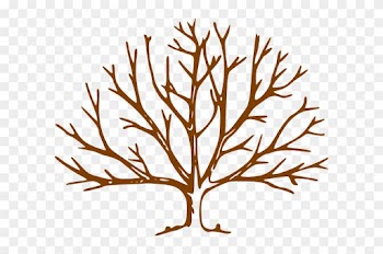 Clip Art Tree No Leaves - Tree Without Leaves Drawing