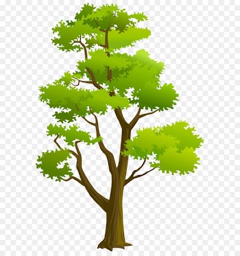 Clip art - Tree PNG Clip Art 