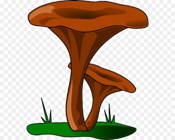 clip art tree table mushroom plant