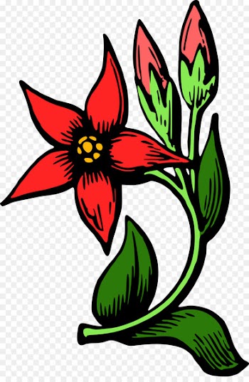 Clip art Tulip Floral Ornament CD-ROM and Book Flower Color - century plant 