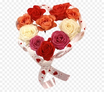 Clip art Valentine's Day Portable Network Graphics Garden roses Holiday - valentines day 