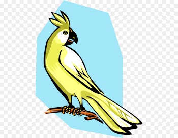 Clip art Vector graphics Bird Cockatiel Royalty-free - bird 