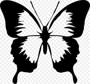 Clip art Vector graphics Butterfly Free content Image -  