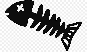 Clip art Vector graphics Fish bone Skeleton Image - skeleton 