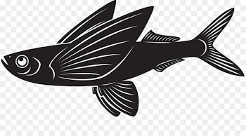 Clip art Vector graphics Flying fish Illustration Image - grace fish seasoning 