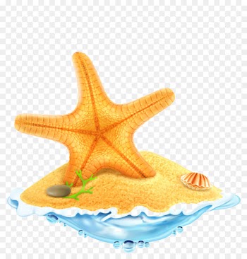 Clip art Vector graphics Illustration Royalty-free Image - cartoon starfish 