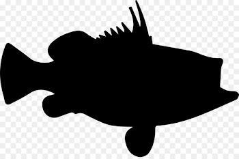 Clip art Vector graphics Illustration Silhouette Fish - silhouette 