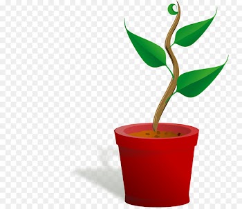 Clip art Vector graphics Openclipart Free content Plants - rg banner 