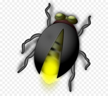 Clip art Vector graphics Openclipart Illustration Computer Icons - firefly 