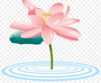 Clip art Vector graphics Sacred Lotus Illustration Portable Network Graphics - associate vector 