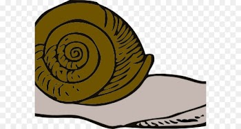 Clip art Vector graphics Snail Escargot Free content - oviparous graphic 