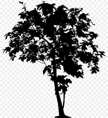 Clip art Vector graphics Tree Oak Openclipart -  