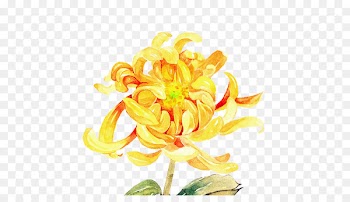 Clip art Watercolor painting Image Portable Network Graphics Graphic design - oxeye daisy 