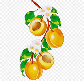 clip art yellow fruit plant flower