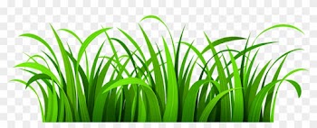Clip Arts Related To - Grass Clip Art