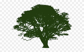 Clip Arts Related To - Shade Tree Clip Art