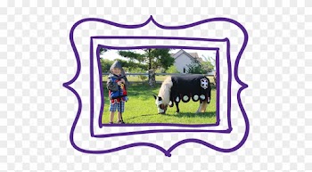 Clip Freeuse Download Lasso Clipart Camp - Picture Frame