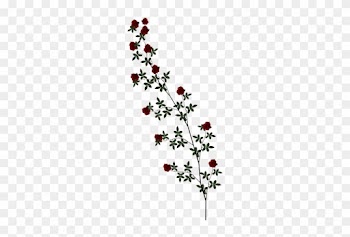 Clipart Awesome Design Vine Clipart Download Rose Hq - Rose Vine Png