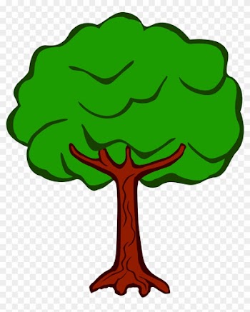 Clipart Baum - Tree Coloured