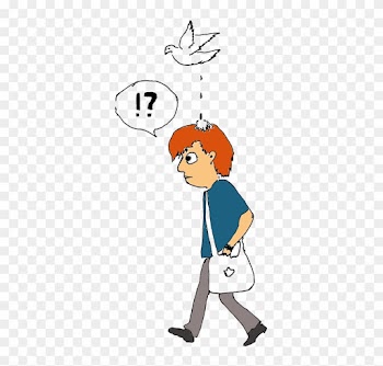 Clipart Bird Poop Breaking News Study Proves Relationship - Bird Pooping On People