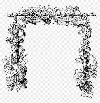 Clipart - - Black And White Grape Vine