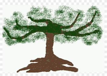 Clipart - - Bonsai Tree Clipart Png