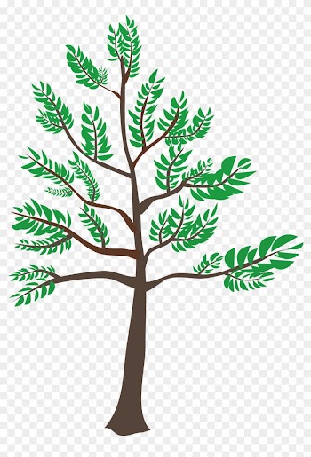 Clipart - Cedar Tree Clipart