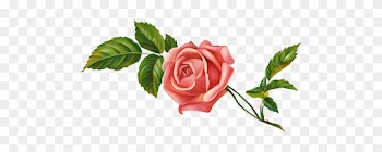 Clipart De Flores - Rose