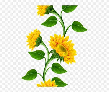 Clipart De Girassol Para Montagens Digitais - Sunflower Border