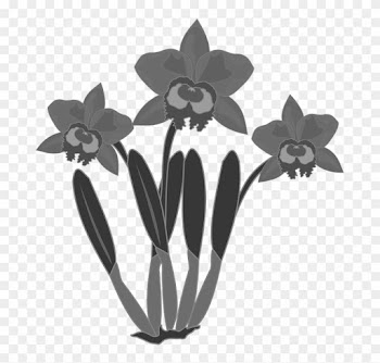 Clipart Flor Flore Fleur Nature Orchidée - Bunga Anggrek Vektor