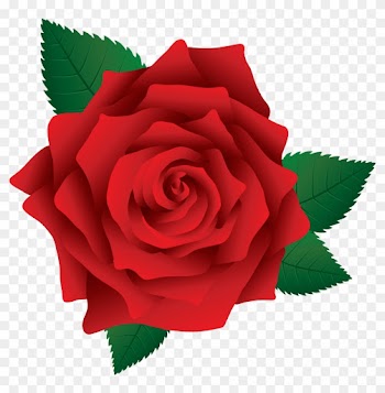 Clipart Flowers Pinterest Rose Clip Art Png - Rose Clip Art Png