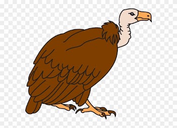 Clipart Image Of Vulture