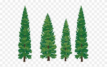 Clipart Info - Pine Tree Clipart Png
