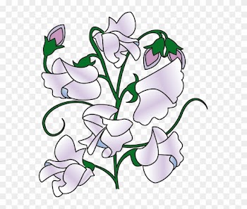 Clipart Info - Sweet Pea Flower Clipart