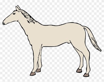 Clipart Info - White Horse Clipart Transparent