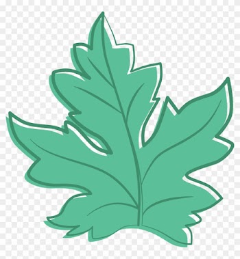 Clipart Maple Leaf - Teal Fall Leaves Clipart