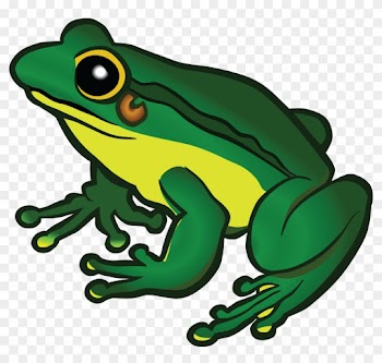 Clipart Of Frog Free A - Frog Png Clipart