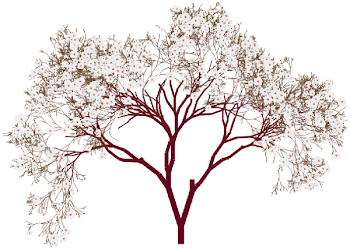 Clipart of jeremiah almond tree in bible collection