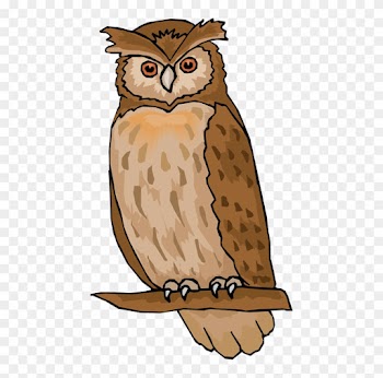 Clipart Of Owl Free Owl Clipart Animations - Owl Images Clip Art