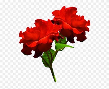 Clipart Of Two Red Roses - Hd Two Red Rose Png