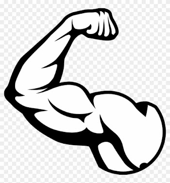 Clipart Pretty Inspiration Muscle Clipart Png Images - Muscle Clipart Transparent
