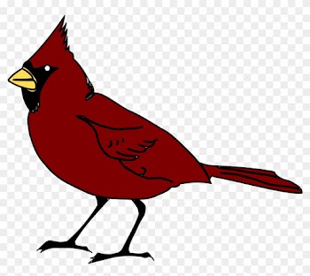 Clipart - Red Cardinal Twin Duvet