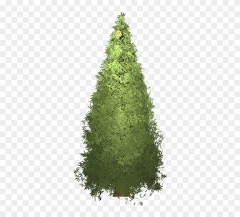 Clipart Redwood Tree - 16 Ft Pre Lit Christmas Tree